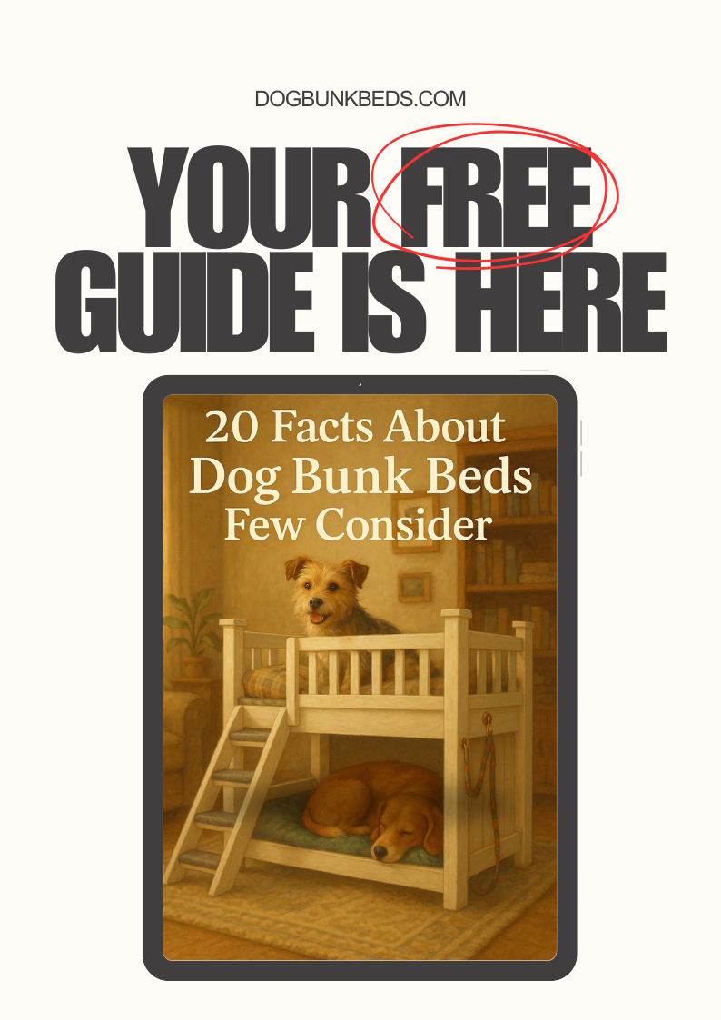 20 Essential Facts About Dog Bunk Beds - Complete Guide